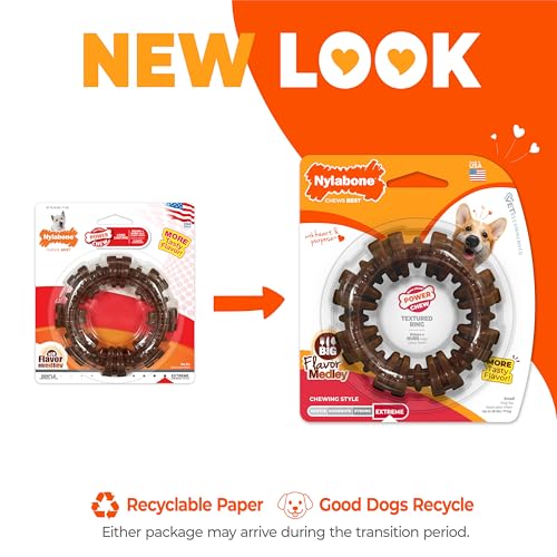 Nylabone Textured Ring Power Chew Toy for Small Dogs Up to 25 lbs - color: Textured Ring, size: Small