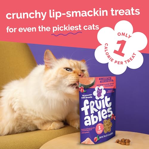 Fruitables Crunchy Cat Treats, Healthy Cat Treat, Salmon & Cranberry, 2.5oz - size: 2.5 Ounce (Pack of 1), style: Salmon & Cranberry