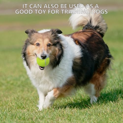 SHYUJAJIE Tennis Ball,20 Pack Practice Balls Bulk,Dog Balls with Mesh Bag - color: Dark Blue