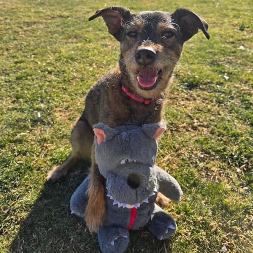 Nocciola Fairy Tale Squeaky Dog Toys, Cute Interactive Plush Stuffed Hide and Seek Cognitive Puzzle Puppy Crinkle Chew Toy for Small, Medium Breed - style: Little Red