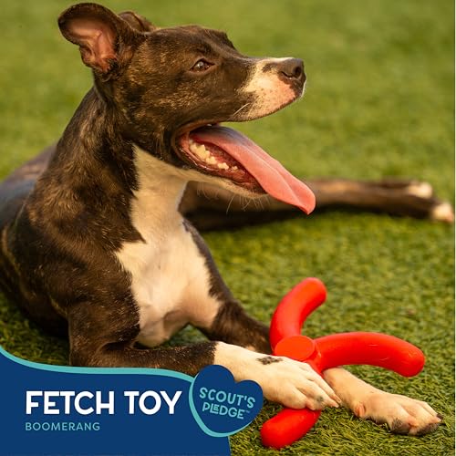 Good Scout Boomerang Dog Toy for Tugging & Chewing, Best Fetch Toy for Aggressive Chewers, Medium & Large Dogs - style: Boomerang