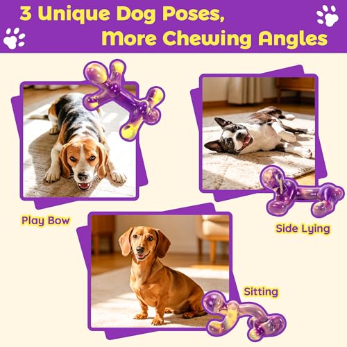 LECHONG 3 Pack Indestructible Dog Toys for Aggressive Chewers 22-66 lbs
