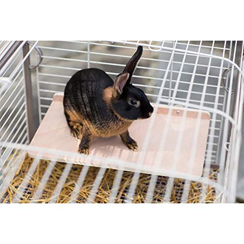 Wood Side Platform (Medium) - Natural Climbing Cage Accessory Shelf Perch Stand - for Sugar Gliders, Rabbits, Guinea Pigs, Prairie Dogs, Degus, Chinchillas, Rats, Ferrets, Birds & Small Pets