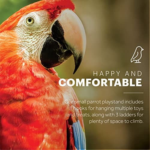 Prevue Pet Products Parrot Play Stand with Wheels - Black - size: Small