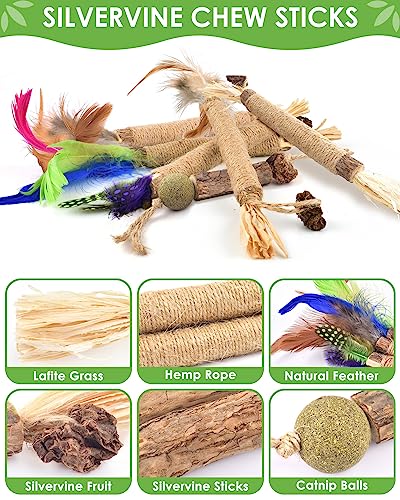 TINDTOP Silvervine Chew Sticks for Cats, 12 Pack Natural Catnip Chew Toys - color: 12 Pack
