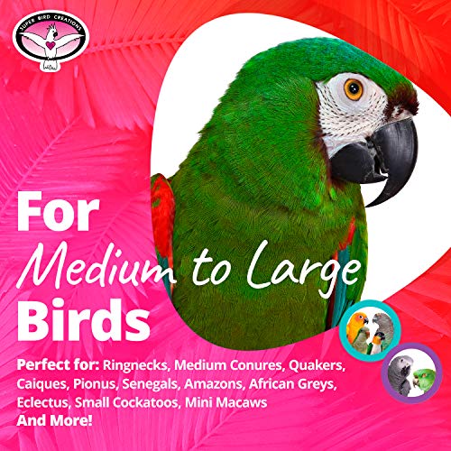 Super Bird Creations SB632 Foraging Bottom’s Up Bird Toy with Clear Acrylic Cups, Medium/Large Bird Size, 18” x 2.5”