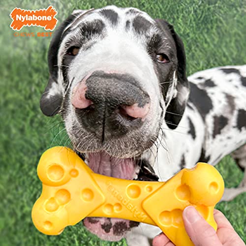 Nylabone Power Chew Cheese Bone Dog Chew Toy, Cheese Flavor, X-Large - color: Cheese, size: X-Large