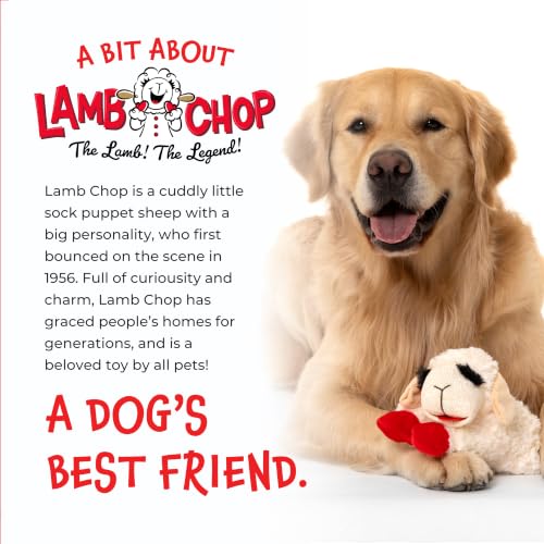 Multipet Lamb Chop Dog Plush Toy - Squeaky Toy - size: 6", style: White