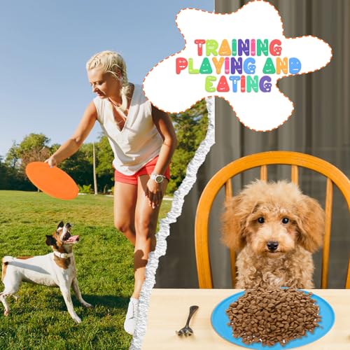 Vinsot 28 Pcs 7 Inch Flying Discs Bulk for Kids Dogs