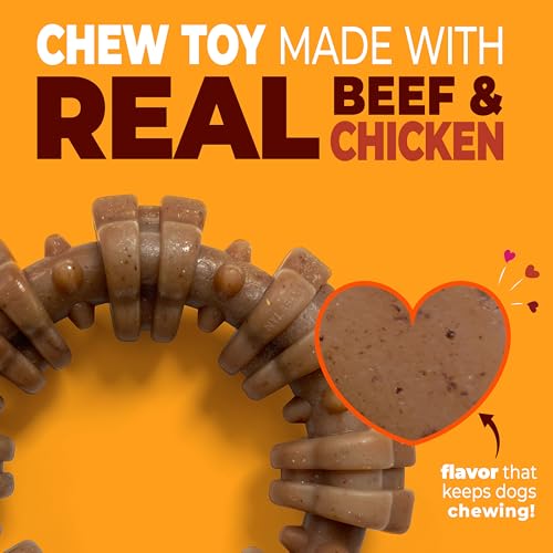 Nylabone Strong Chew Ring Dog Toy Made with Real Beef & Chicken, Small Dogs - color: Textured Ring, size: Small
