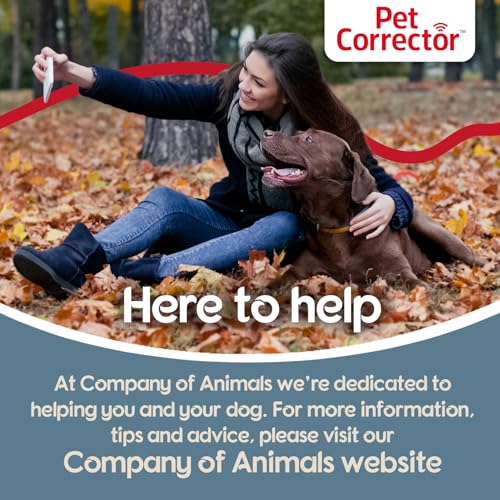 Pet Corrector Dog Trainer, Help Stop Unwanted Behaviour | 200ml, Twin Pack - size: 200 ml (Pack of 2)