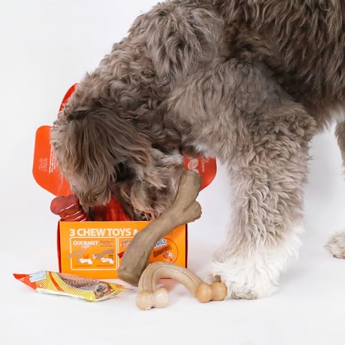Nylabone Dog Gift Box, Strong Chew Toys & Treat, Large, 4 Count - size: Large (4 Count)