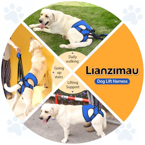 LIANZIMAU Dog Sling for Large Dogs Adjustable Hind Leg Support Lift Harness Senior Canine Mobility Aid Carrier for Back Legs Walking Rehabilitation - color: Royal Blue, size: M（Waist:18"-21")
