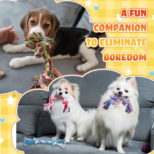 Hiboom 24 Pcs Dog Rope Toys Bulk Multi Color Puppy Chew Rope Cotton Teething Toys 2 Knot Tug for Aggressive Chewers Small and Medium Dogs Puppies