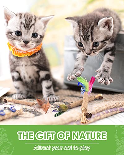 TINDTOP Silvervine Sticks for Cats with Natural Feather, Catnip Chew Toys - color: 3 Pack