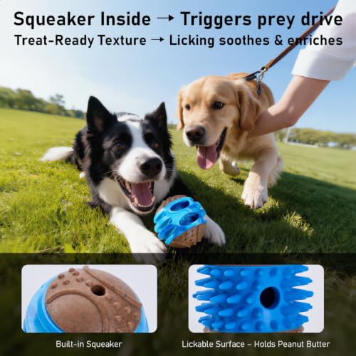 MECOOL 2PCS Durable Dog Chew Toys, Squeaky Chew Ball & Treat Dispensing Toy, Tough Nylon Ends & Natural Rubber for Aggressive Chewers, Interactive Puzzle Toys for All Breed Dogs,Bacon Flavored,Blue - color: Blue