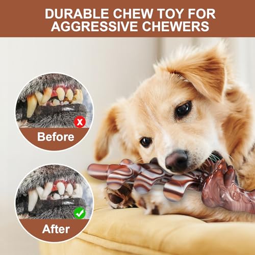 Durable Nylon Dog Toy for Aggressive Chewers - Interactive Nylon Chew Set with Massage Bumps | Tough Dog Toys for Teething Puppies & Large Breeds (Triceratops) - color: Triceratops