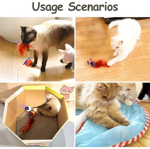 Migipaws Interactive Cat Ball Toy Set, Fun Tracker, Automatic Rolling Chase Ball with Fluffy Tail, A Small Mice, Rechargeable (White) - color: White