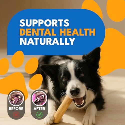 Set 3 of Coffee Wood Dog Chew Toy – Coffee Chew Stick for Small Dogs - Teeth Cleaning & Stress Relief – Safe, Durable & Eco-Friendly Dog Chew Toy (Small - Under 32 lbs) - size: Small