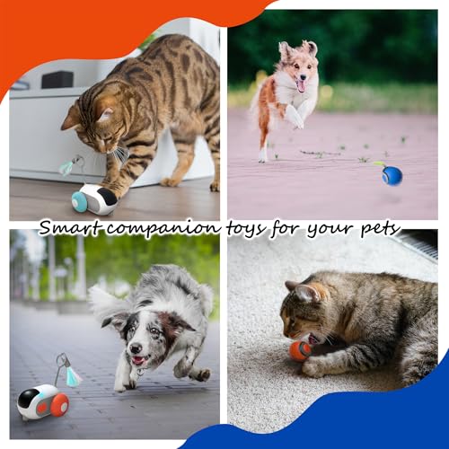 1pc Interactive Automatic Remote Control Cat Mice Car Toy and 1pc Smart Electric Moving Speedy Cat Ball Toy with Feather Tail, Suitable for Dogs, Keep Busy, Stimulating, Rechargeable (Blue) - color: blue