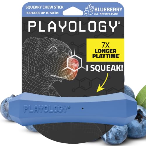 Playology Squeaky Chew Stick - Scented Dog Toy - Medium, Blueberry Scent - size: Medium, style: Blueberry