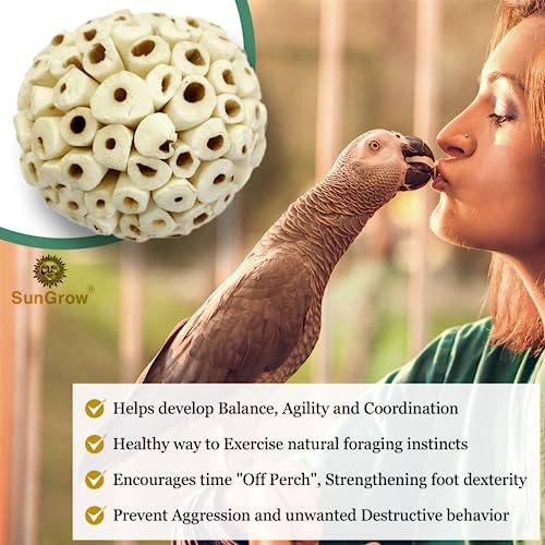 SunGrow Sola Atta Foraging Balls, 2”, White Soft Shred Parrot Chews, Bird Chewing Accessories for Conure, Budgie, Parakeet, Cockatiel, Rabbits, Hamsters, and Small Pets, 3 Pcs/Pack