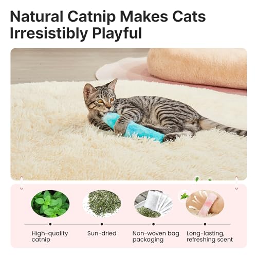 Potaroma Cat Toys Pillows, 3 Pcs, Catnip Inside, Interactive Indoor Fun - color: Pastel Colors