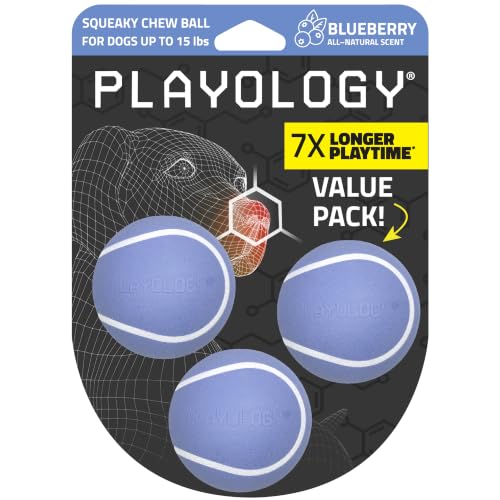 Playology Squeaky Chew Ball Dog Toy - Small, Blueberry Scent, 3-Pack - size: Small (VALUE 3-Pack), style: Blueberry