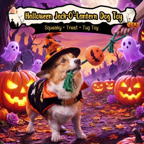 Halloween Fall Pumpkin Squeaky Tug Rope Dog Toys for Small & Medium Dogs - style: Halloween Jack-o-lantern Pumpkin