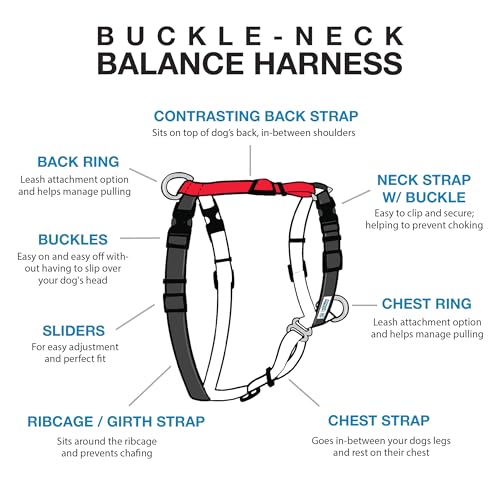 Blue-9 Balance Harness® for Dogs, No-Pull, Buckle-Neck, Training, Red, M