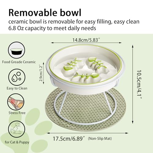 Ceramic Elevated Slow Feeder Cat Bowl, Anti Vomit, Removable Dish, Green - color: Green