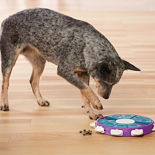 Outward Hound Nina Ottosson Dog Twister Dog Toy Treat Puzzle, 11.8" - color: Dog Twister (Purple, Blue), size: 1 Count (Pack of 1)