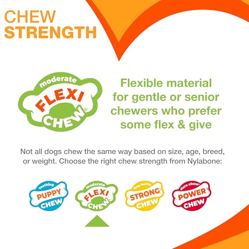 Nylabone Flexi Chew Original Bone & Textured Bone Dog Chew Toys, 2 Count - size: Medium