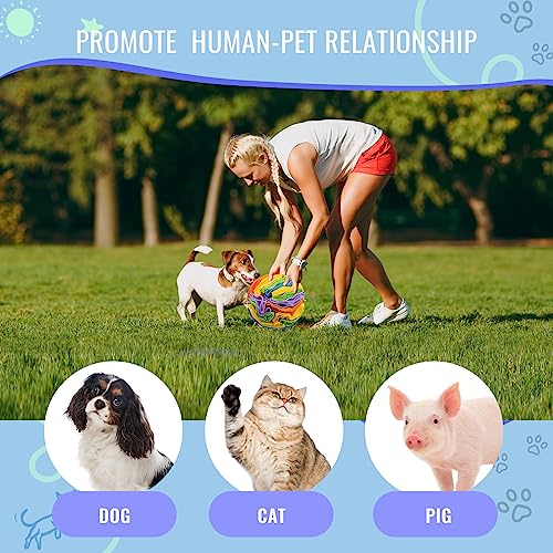 Pet Snuffle Ball, Puzzle Sniffing Interactive Dog Ball for Blind Dogs Training Stress Relief Dog Enrichment Toys Treat Machine Washable (15cm, Sweet Purple) - color: Sweet purple, size: 15cm