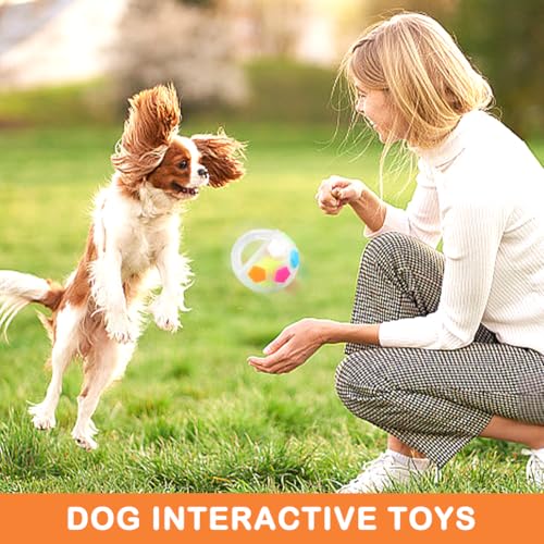 Dog Calming Ball with Handle -Squeaky Floating Rubber Dog Soccer Ball,White - color: white