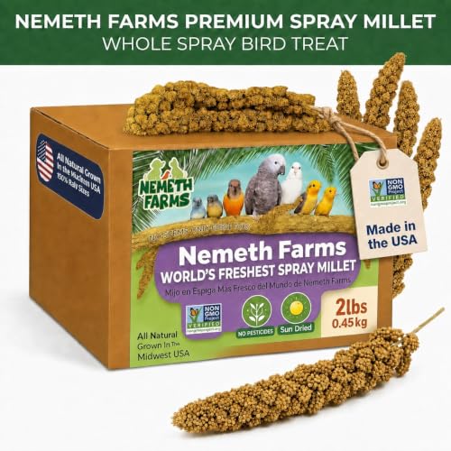 Nemeth Farms Spray Millet - Edible Tops Only, Non-GMO and Sun-Dried - 2 lbs for Cockatiels, Lovebirds and Budgies - size: 2 Pound (Pack of 1)