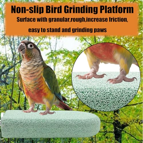 Pet Teeth Grinding Stone and Perch, Bird Perch Stands, Natural Chewing Toys for Small Medium Birds Budgies Conures Cockatiels Rats (4 Colores, Big) - color: 4 Colores, size: Big