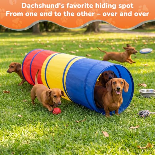Dachshund Tunnel, Dog Tunnel, Foldable Crawl for Dog Training