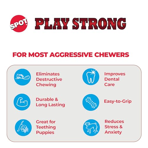 SPOT Play Strong Bone- Durable TPR Long Lasting Dog Chew for Aggressive Chewers, Hole for Treats, Virtually Indestructible Toy for Small and Medium Dogs & Puppies - 4.5 inch - size: Small