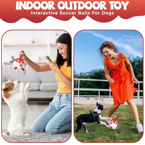 QDAN Small Puppy Dog Soccer Ball with Straps, Durable Herding Toys, 5 Inch - color: Red, size: 5 Inch