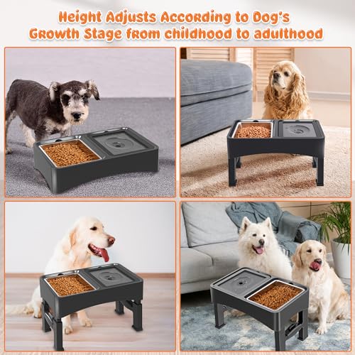 Decflow 2-in-1 Elevated Dog Bowls with 4 Height Adjustable Raised Stand - color: 2-in-1 Light Black
