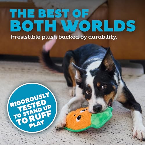 Outward Hound Tough Skinz Durable Chew Plush Squeaky Dog Toy, Carrot, 9.8" - color: Carrot, size: Medium