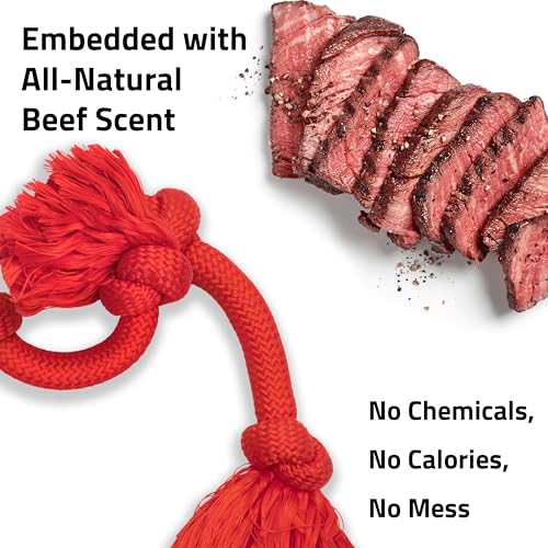 Playology Tug Rope Dog Toys for Large Breed Dogs - Mega Size, Beef Scent - size: Mega, style: Beef