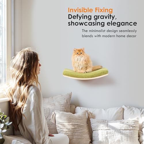 Curved Cat Shelves and Perches, Floating Cat Wall Bed with Comfortable Cushion - color: Wood Shelf+Green Cushion