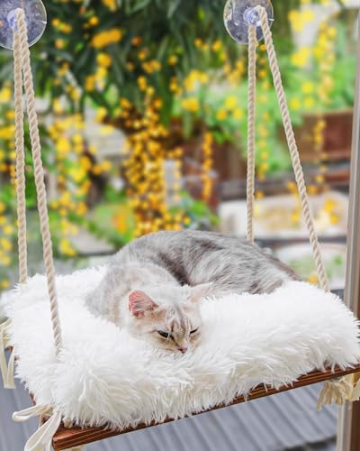 Cat Hammock with Industrial-Grade Suction Cups - Solid Pine Wood Seat, Soft Cushion - 42 lb Capacity - color: Brown/White, size: Medium