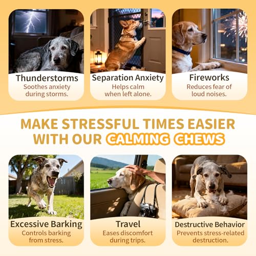 Advanced Calming Chews for Dogs-Brain & Composure Support - size: 135Ct Salmon