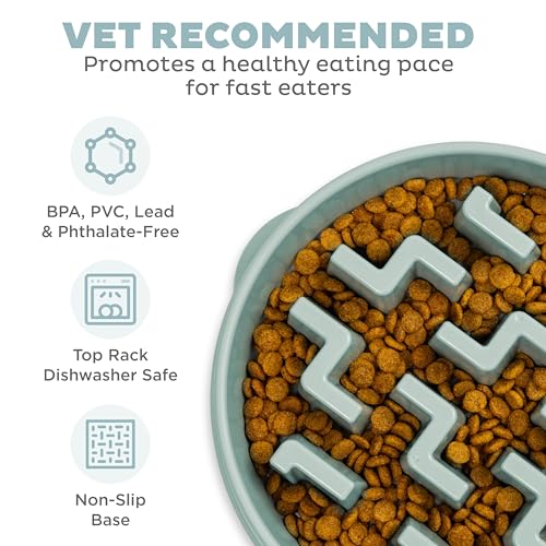 Outward Hound Fun Feeder Slo Bowl Dog Slow Feeder, Notch, Sage, 11.8" - color: Sage, size: Large