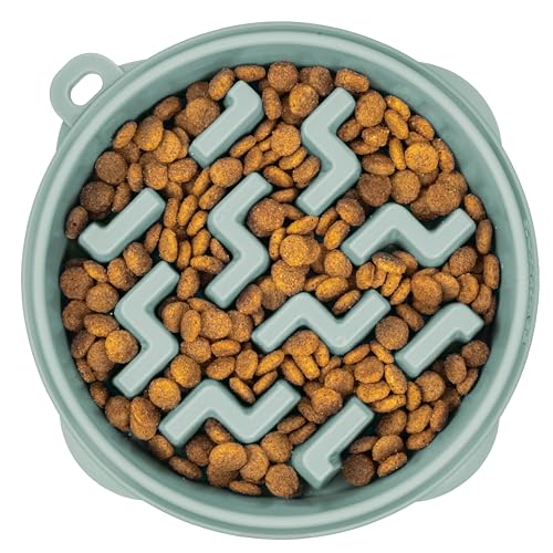 Outward Hound Fun Feeder Slo Bowl Dog Slow Feeder, Notch, Sage, 9.1", Medium (Pack of 12) - color: Sage, size: Medium (Pack of 12)