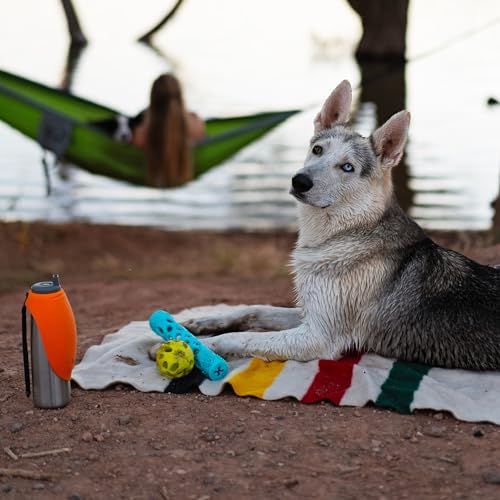 Messy Mutts Totally Pooched Huff n Puff Dog Toys, 3 Piece Set - color: Assorted