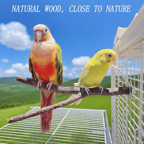 8 PCS Natural Wood Bird Perches Stand for Cage, 5 PCS Parrot Rattan Balls, Wooden Hanging Multi-Branch Perches Platform, Hammock Swing Toy for Parakeets, Budgies, Cockatiels, Conures, Macaws (13 PCS)